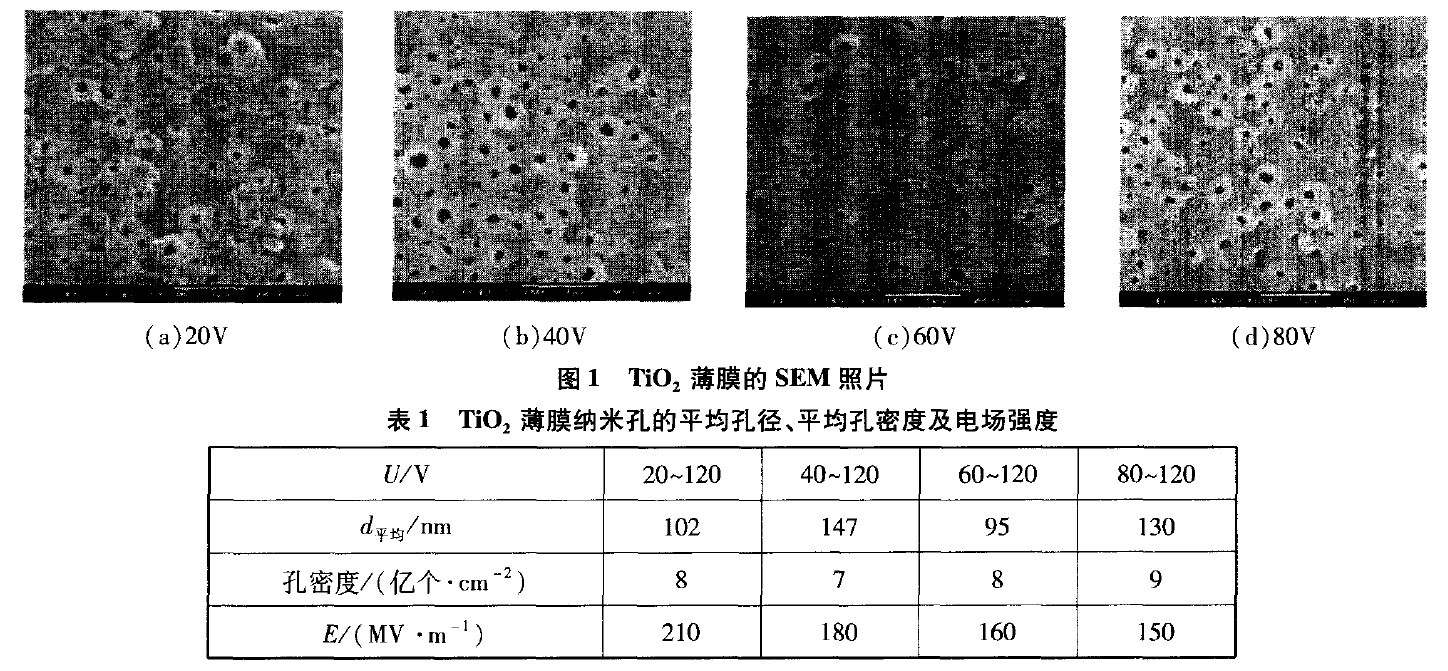 電壓對鈦陽極氧化薄膜形貌的影響