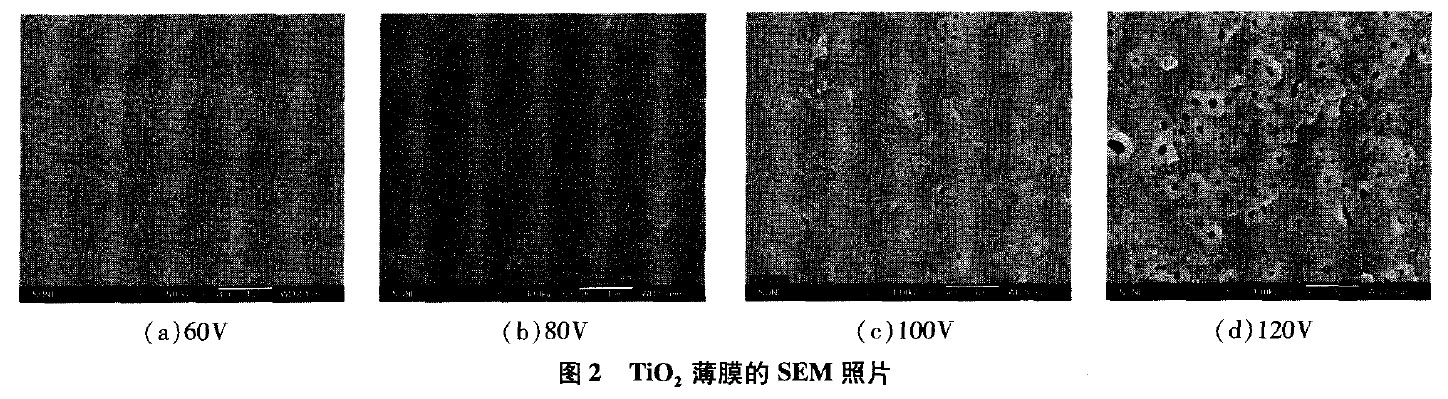 電壓對鈦陽極氧化薄膜的影響
