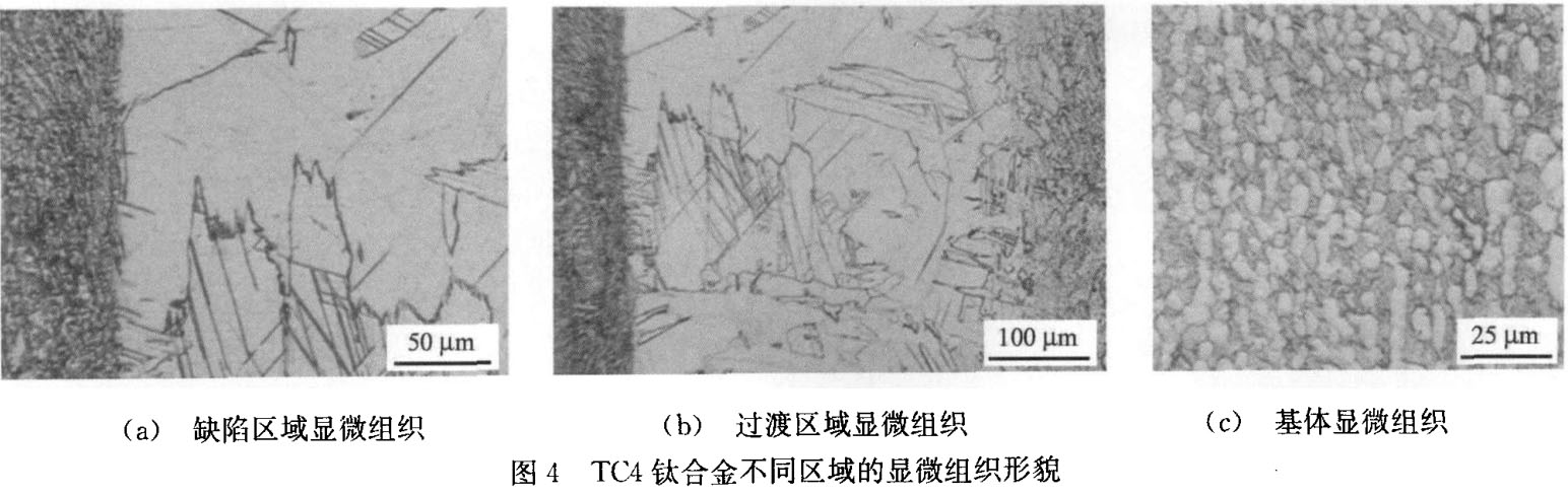 TC4鈦合金不同區(qū)域的顯微組織形貌